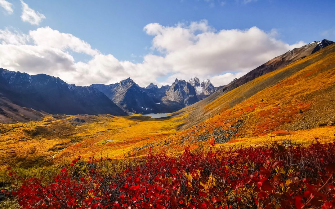 Valley of Flowers Trek