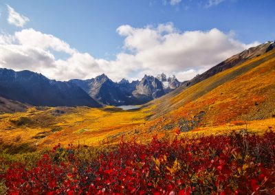 Valley of Flowers Trek