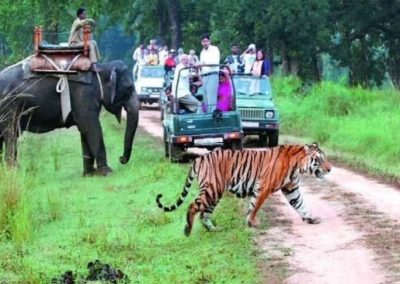 Jim Corbett National Park